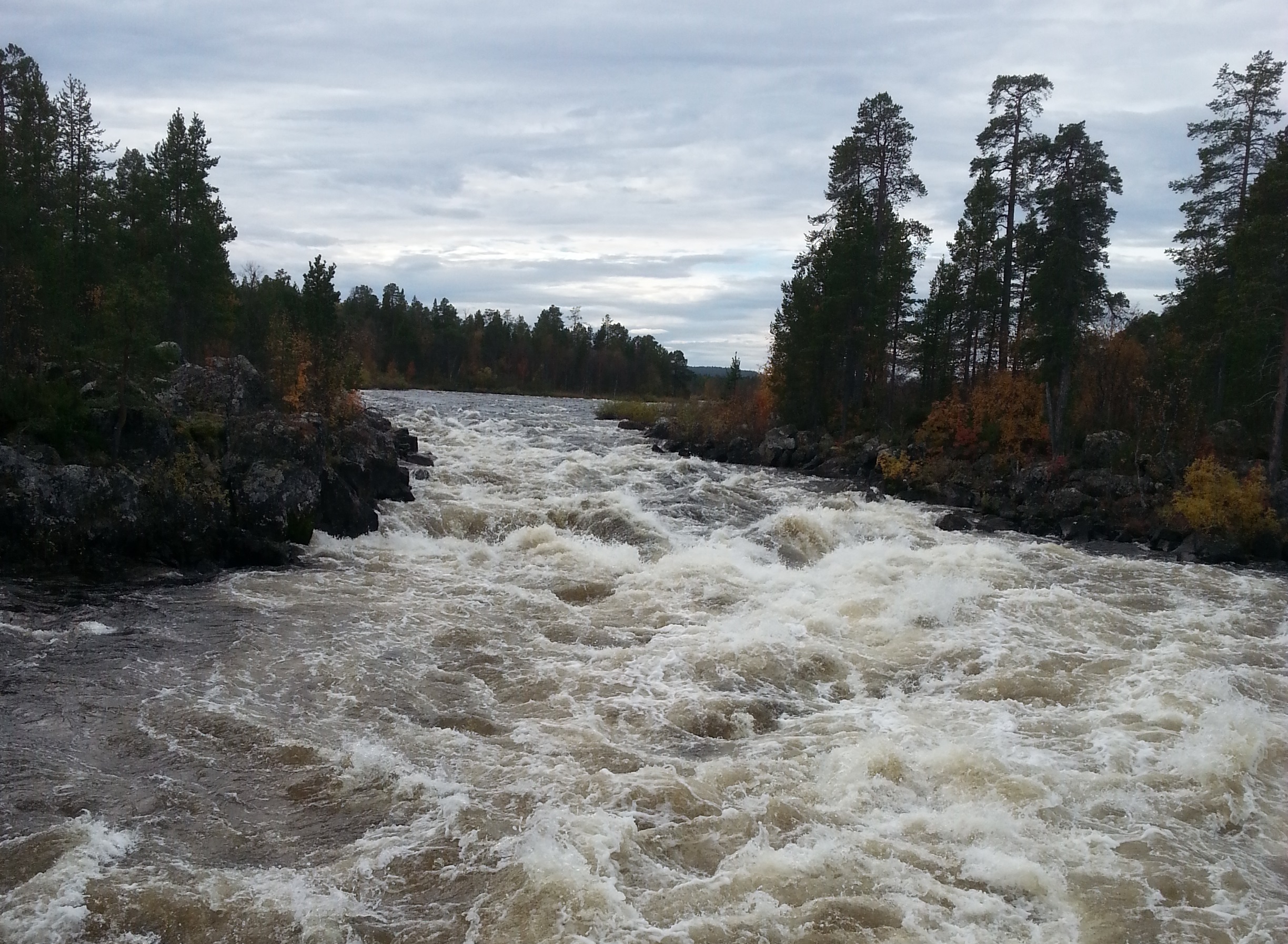 Vesillä